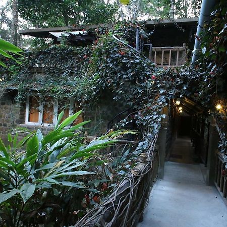 מונאר Greenspaces B&B מראה חיצוני תמונה