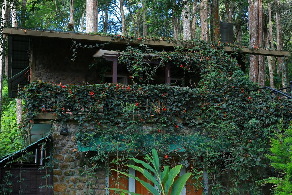 מונאר Greenspaces B&B מראה חיצוני תמונה