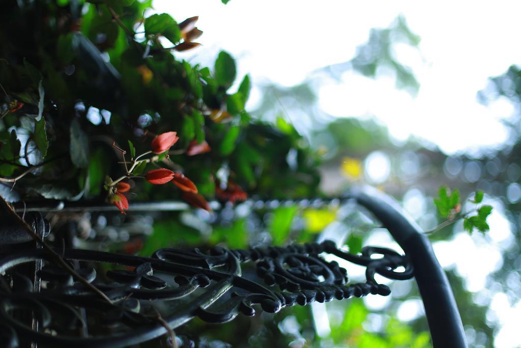 מונאר Greenspaces B&B מראה חיצוני תמונה