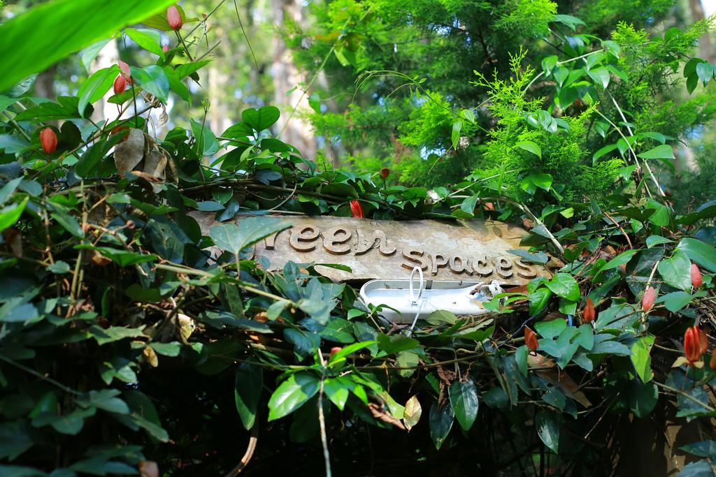 מונאר Greenspaces B&B מראה חיצוני תמונה