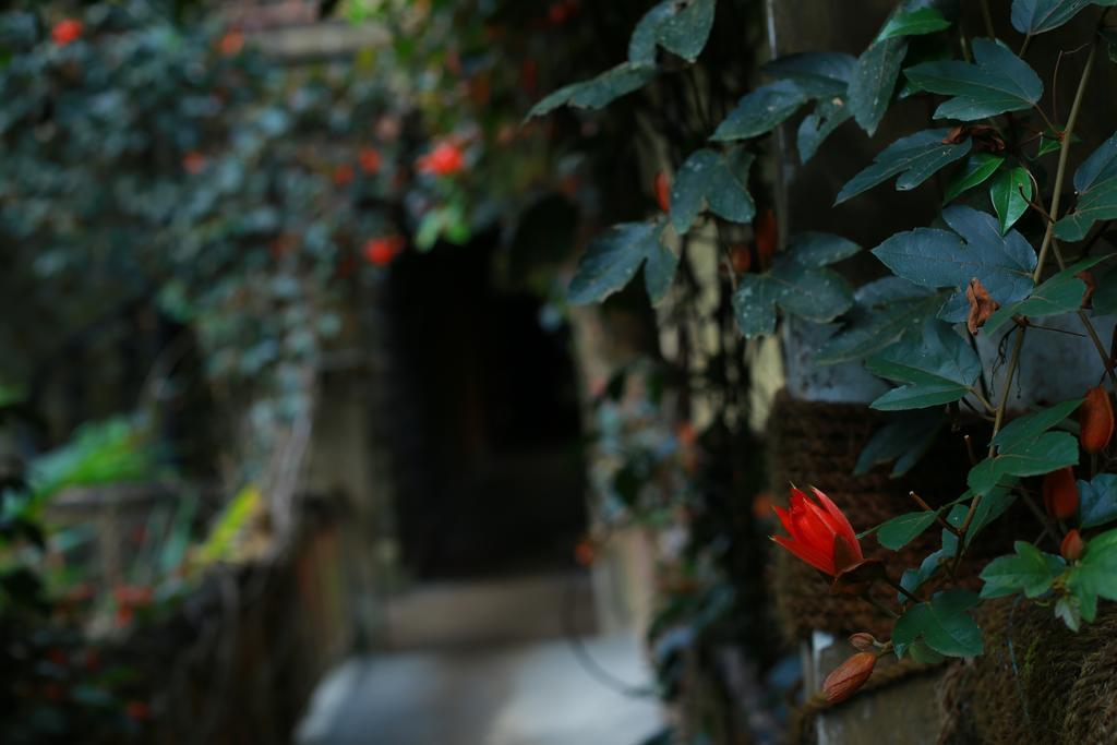 מונאר Greenspaces B&B מראה חיצוני תמונה