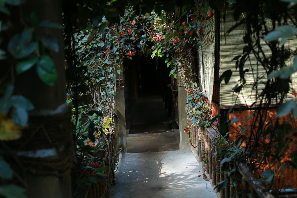 מונאר Greenspaces B&B מראה חיצוני תמונה