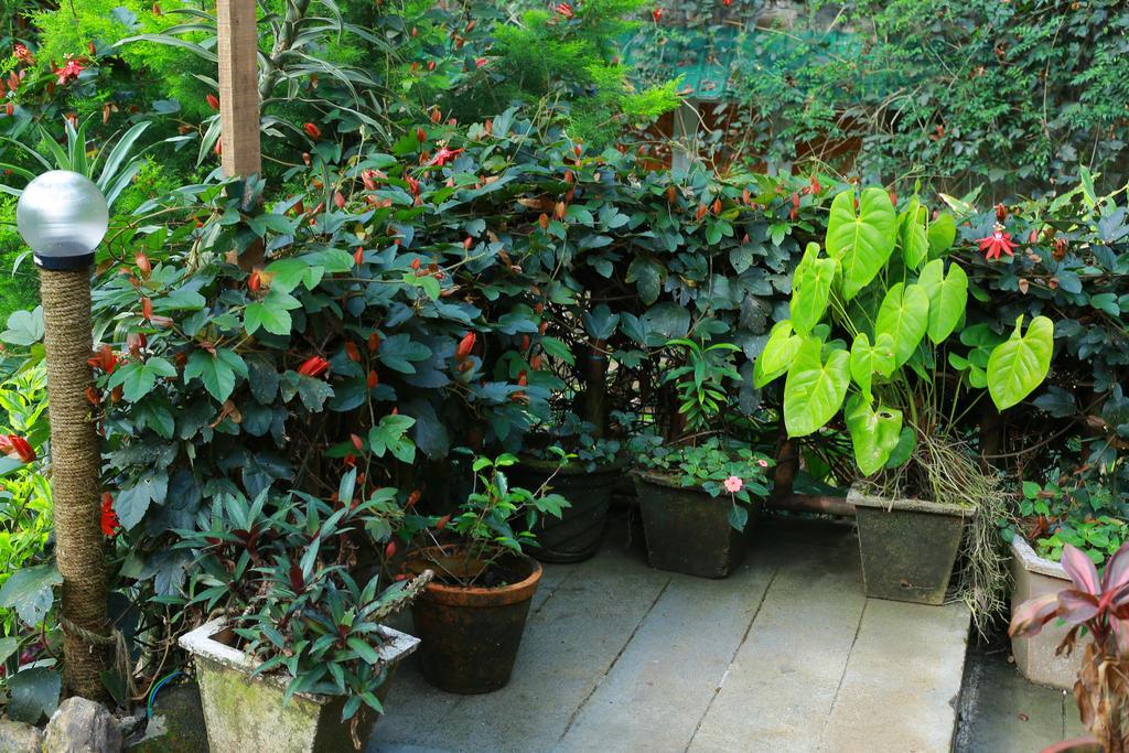 מונאר Greenspaces B&B מראה חיצוני תמונה