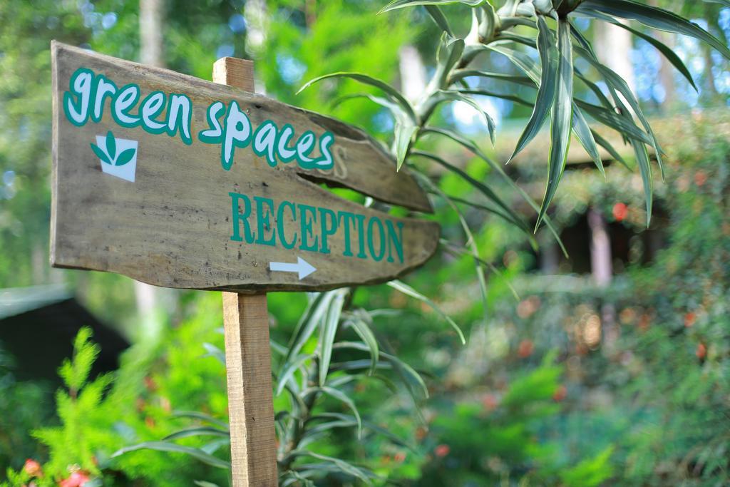 מונאר Greenspaces B&B מראה חיצוני תמונה