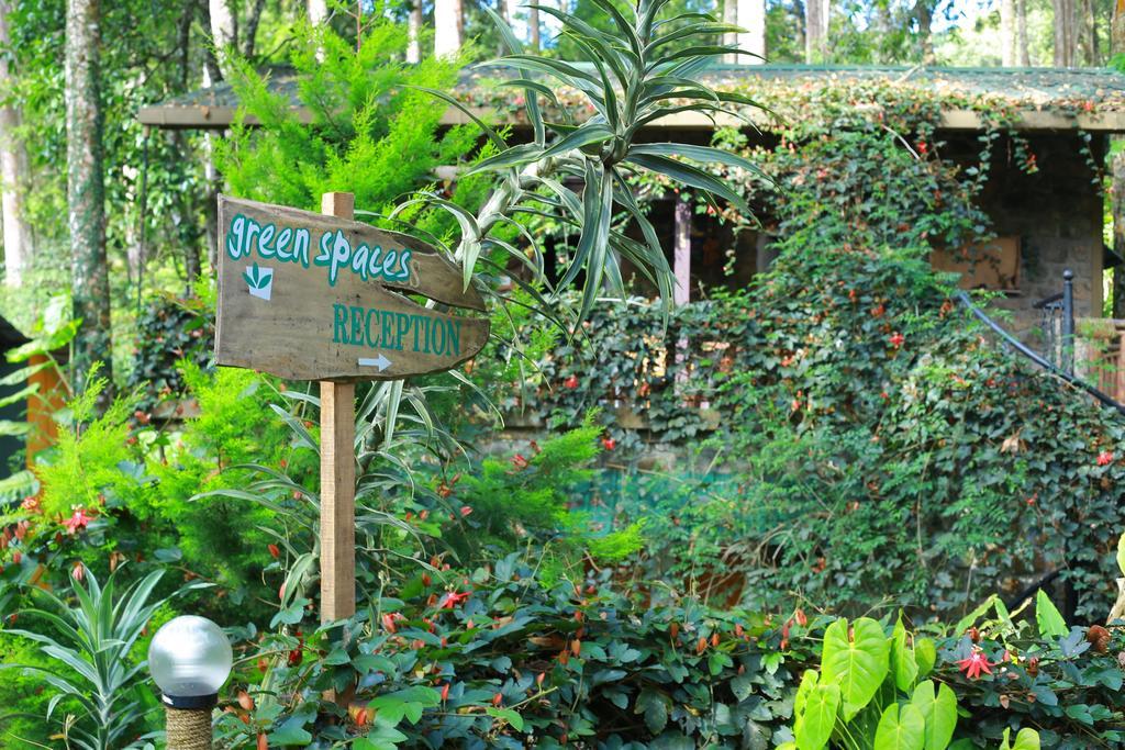 מונאר Greenspaces B&B מראה חיצוני תמונה