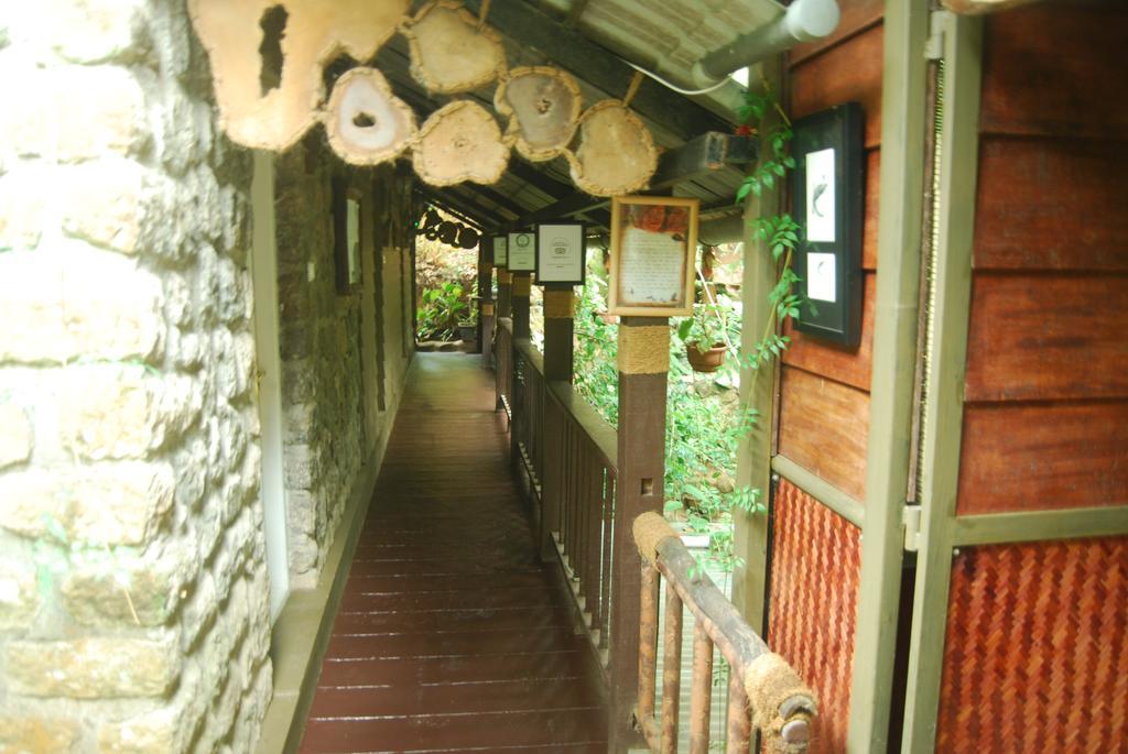 מונאר Greenspaces B&B מראה חיצוני תמונה