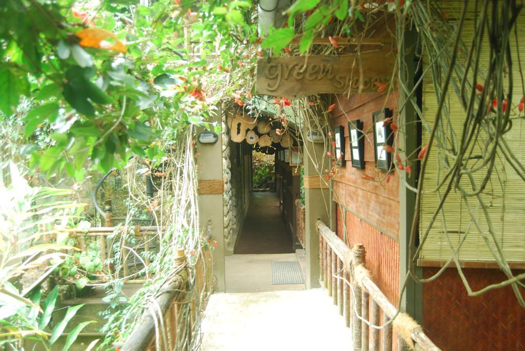 מונאר Greenspaces B&B מראה חיצוני תמונה
